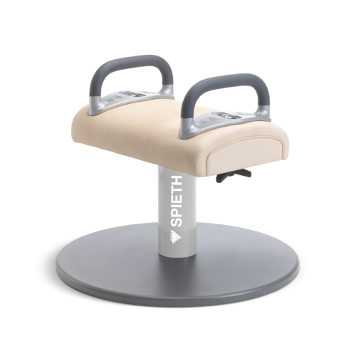 Training Pommel Horse