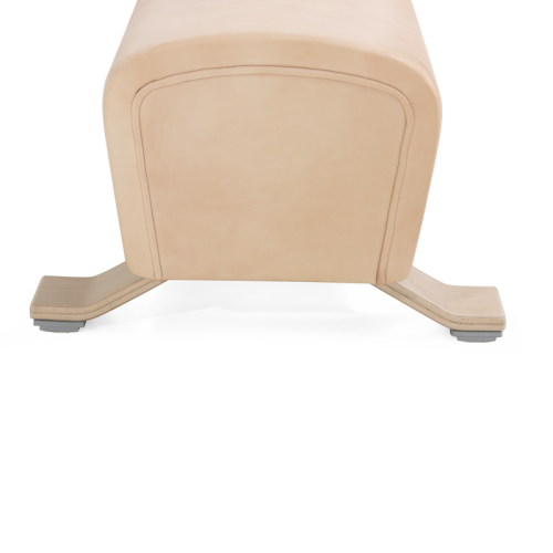 Cavalo de arções de solo